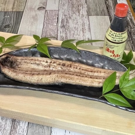 四万十川養殖うなぎ　Eels from Shimanto River