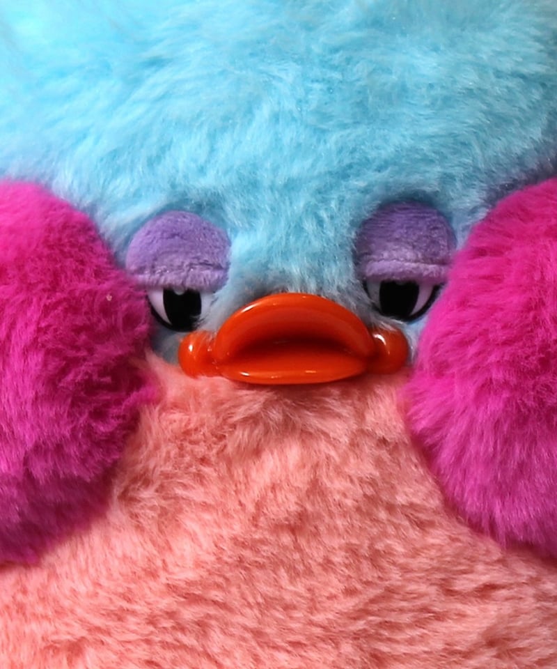 Plushie Love】Aquamarine Snoozle (−ө−)♪.+✴︎。 |