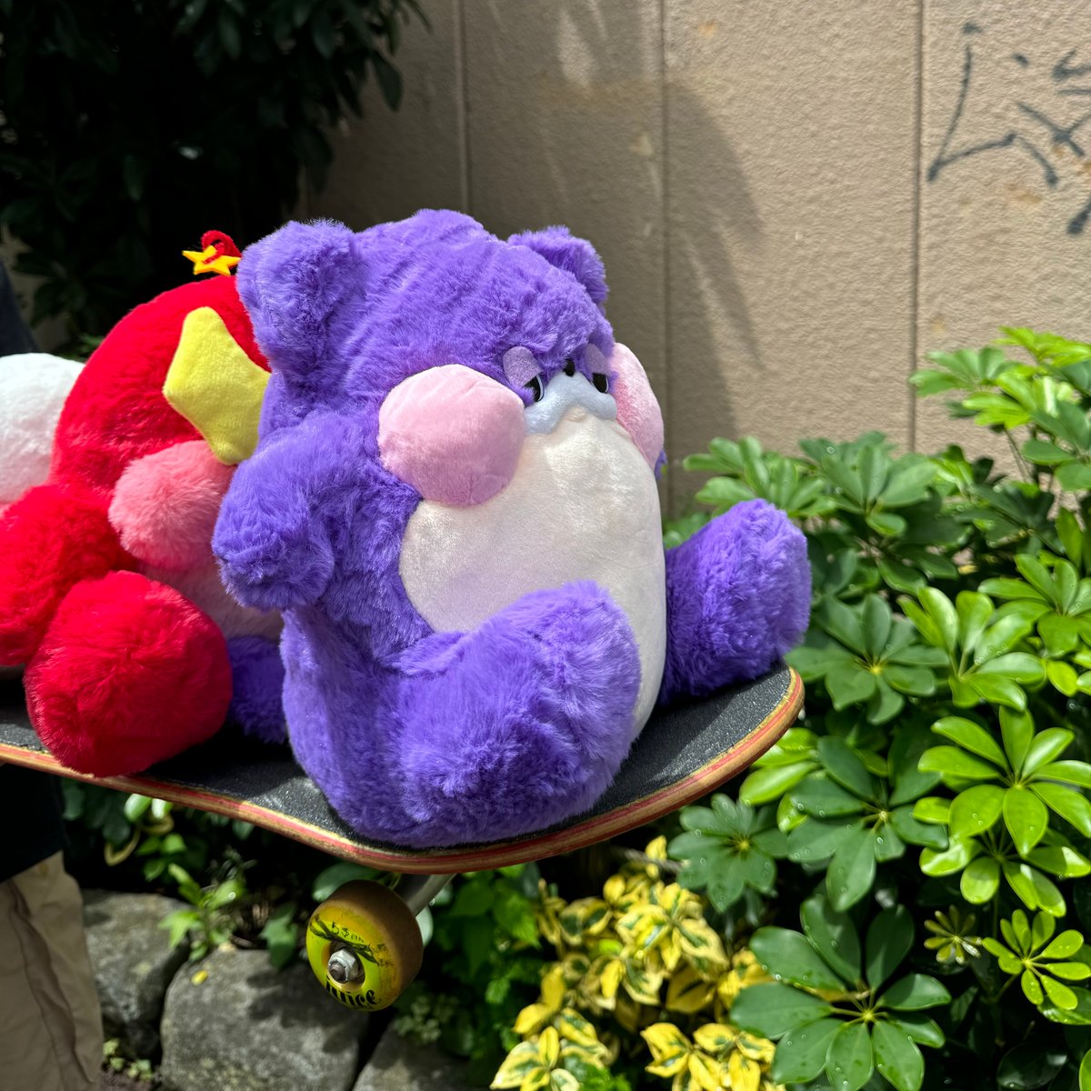 Plushie Loveぬいぐるみ Plushie Love】Tourmaline Snoozle ᡣ𐭩 ྀིྀ | Rolli