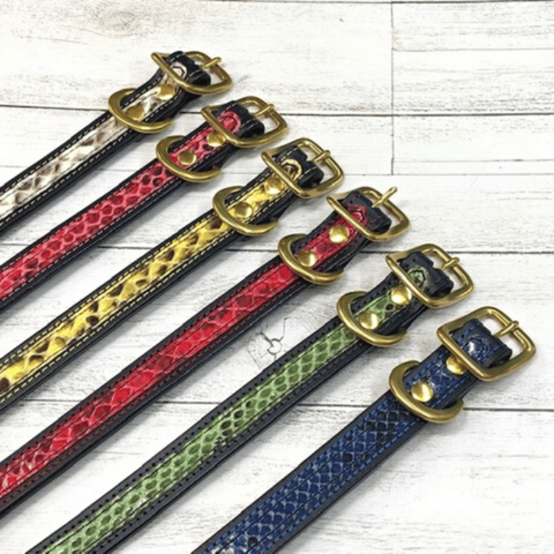 GUCCI レザーdog首輪 ペット用 ギフトにも♪【日本未入荷☆GUCCI】ペット 首輪 (GUCCI/首輪