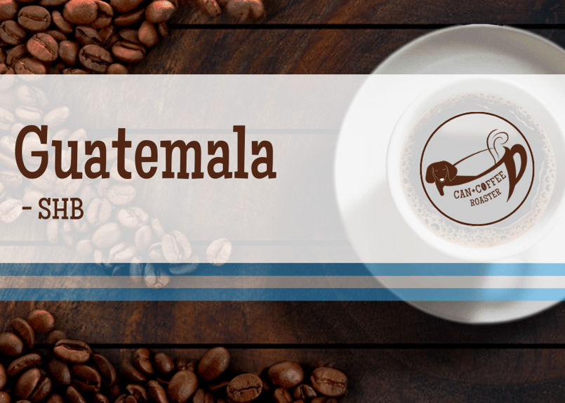 グアテマラ SHB《100g / 200g》 | CAN+COFFEE