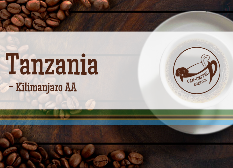タンザニア キリマンジャロAA《200g》 | CAN+COFFEE