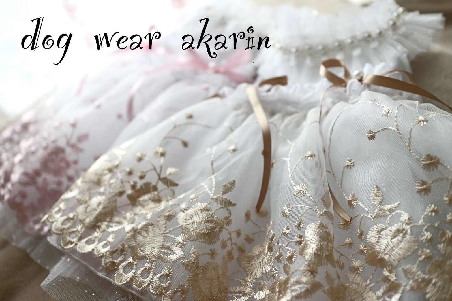 dogwear akarin