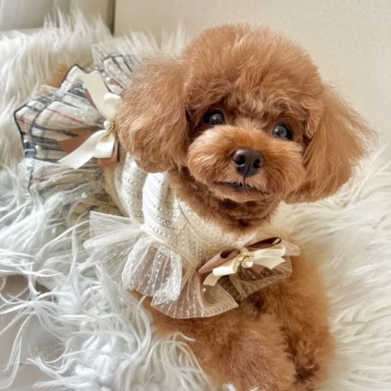 オーダー】タータンチェックワンピース | dogwear akarin