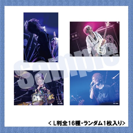 vistlip Trading Photo Pack 2023-2024