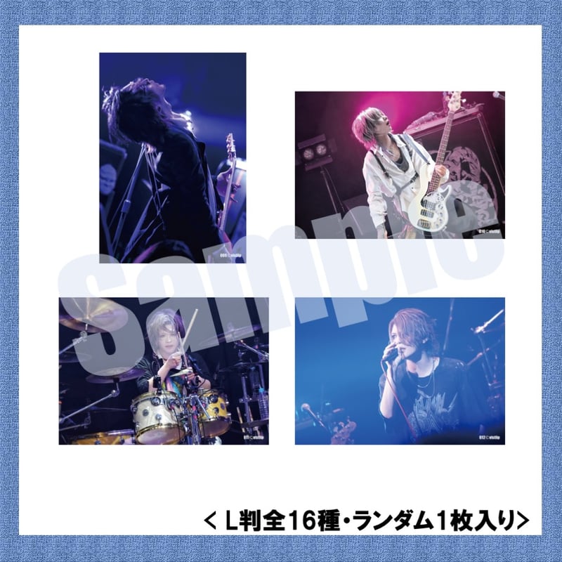 vistlip Trading Photo Pack 2023-2024 | vistlip