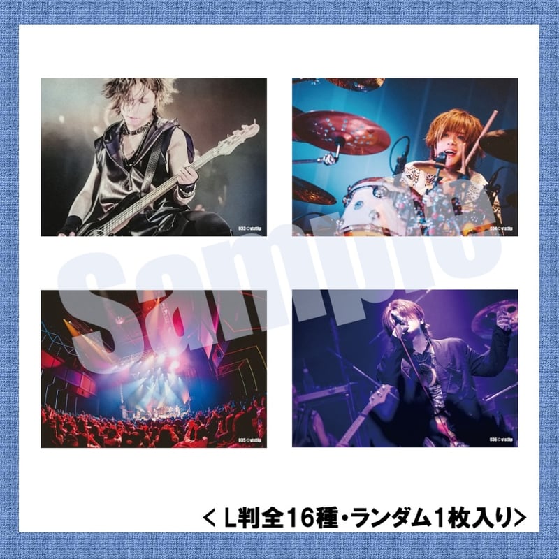 vistlip Trading Photo Pack 2025 | vistlip offic