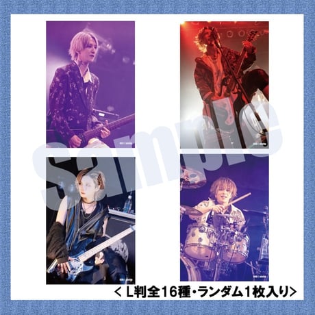 vistlip Trading Photo Pack 2025