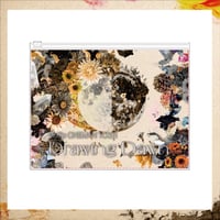 【Drawing Dawn】WKK バブルポーチ