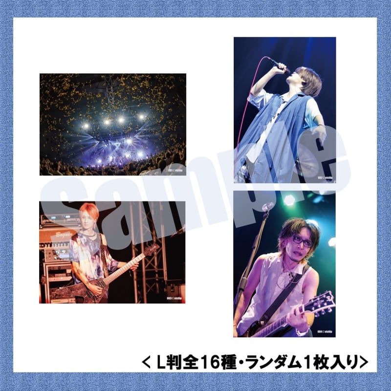 vistlip Trading Photo Pack 2023-2024 | vistlip