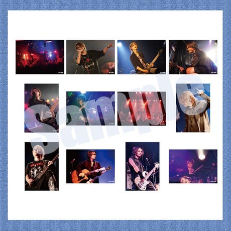 vistlip Trading Photo Pack 2024