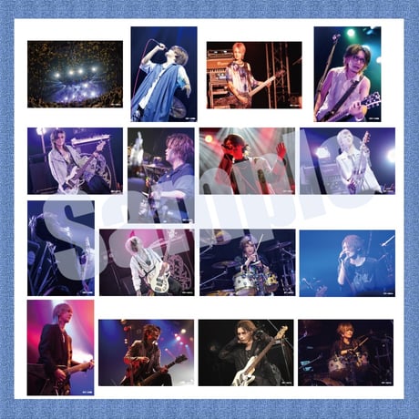 vistlip Trading Photo Pack 2023-2024