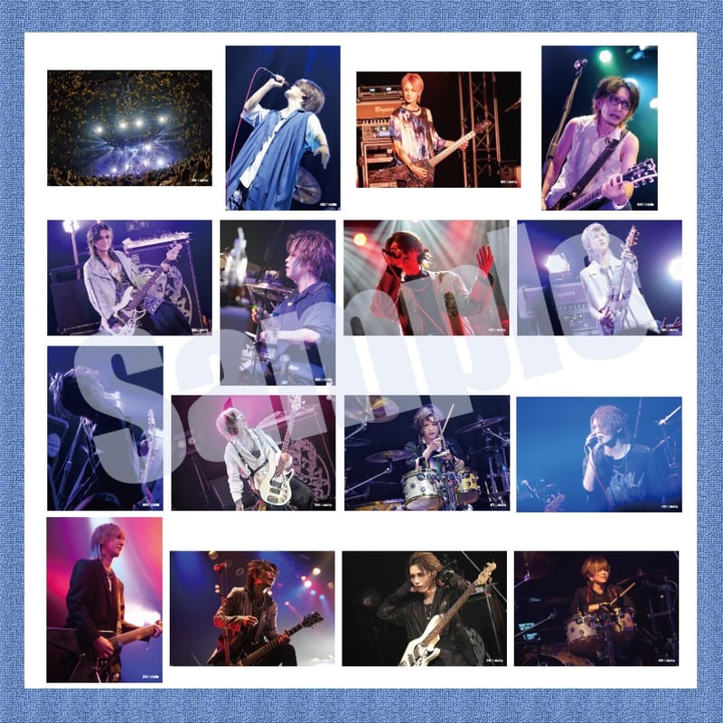 vistlip、DIV等のセット vistlip Trading Photo Pack 2023-2024 | vistlip