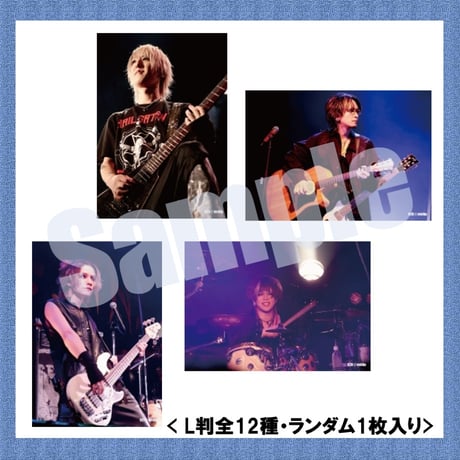 vistlip Trading Photo Pack 2024