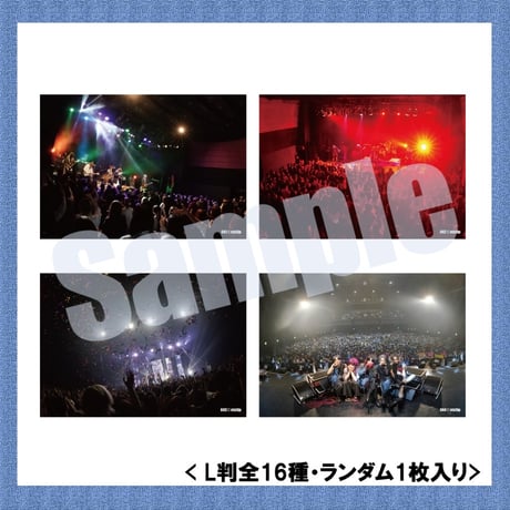 vistlip Trading Photo Pack 2025