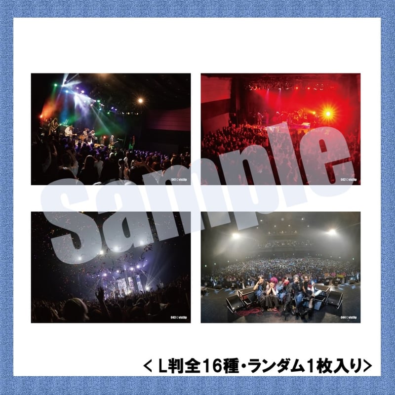 vistlip Trading Photo Pack 2025 | vistlip offic