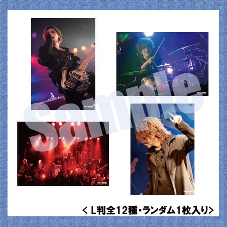 vistlip Trading Photo Pack 2024
