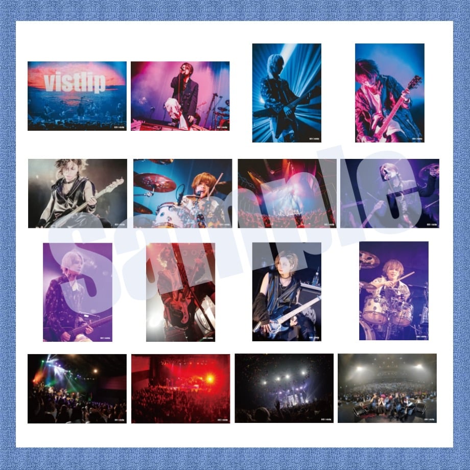 vistlip Trading Photo Pack 2025 | vistlip offic