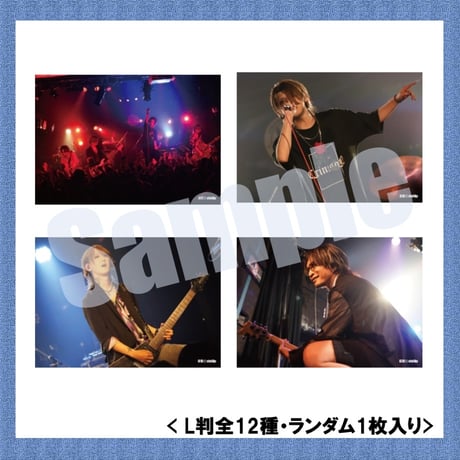 vistlip Trading Photo Pack 2024