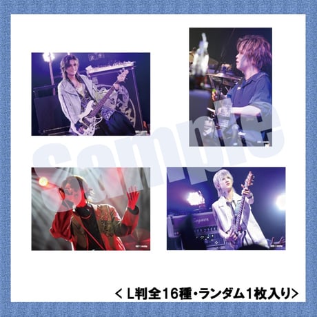 vistlip Trading Photo Pack 2023-2024
