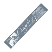 【シュレーディンガーの猫】TOWEL