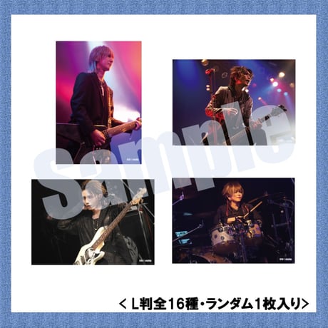 vistlip Trading Photo Pack 2023-2024