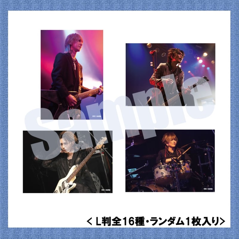 vistlip Trading Photo Pack 2023-2024 | vistlip