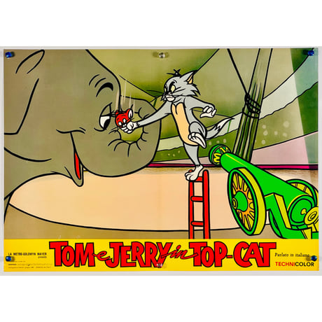 『 トムとジェリー Tom e Jerry in Top Cat 』　ヴィンテージ　映画　アニメ　ポスター　イタリア　オリジナル　[P27-5]