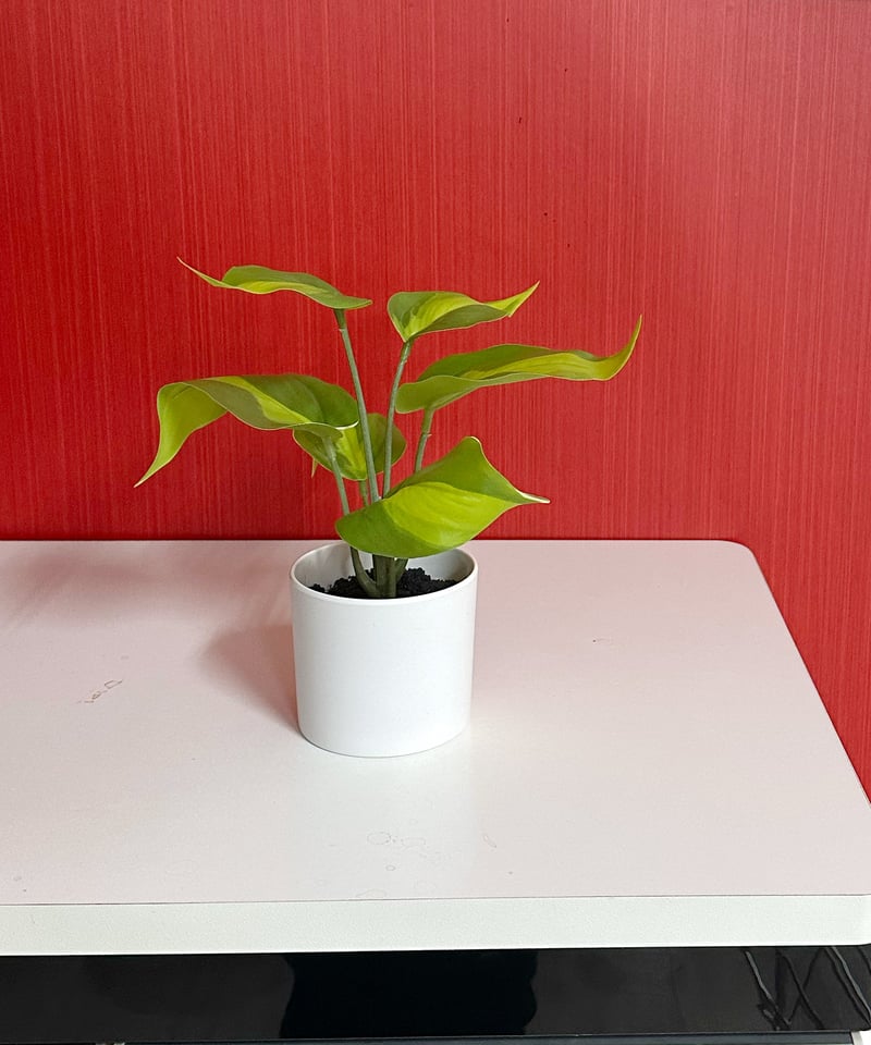 ポトス】フェイクグリーン 人工観葉植物 インテリア ディスプレイ | UP