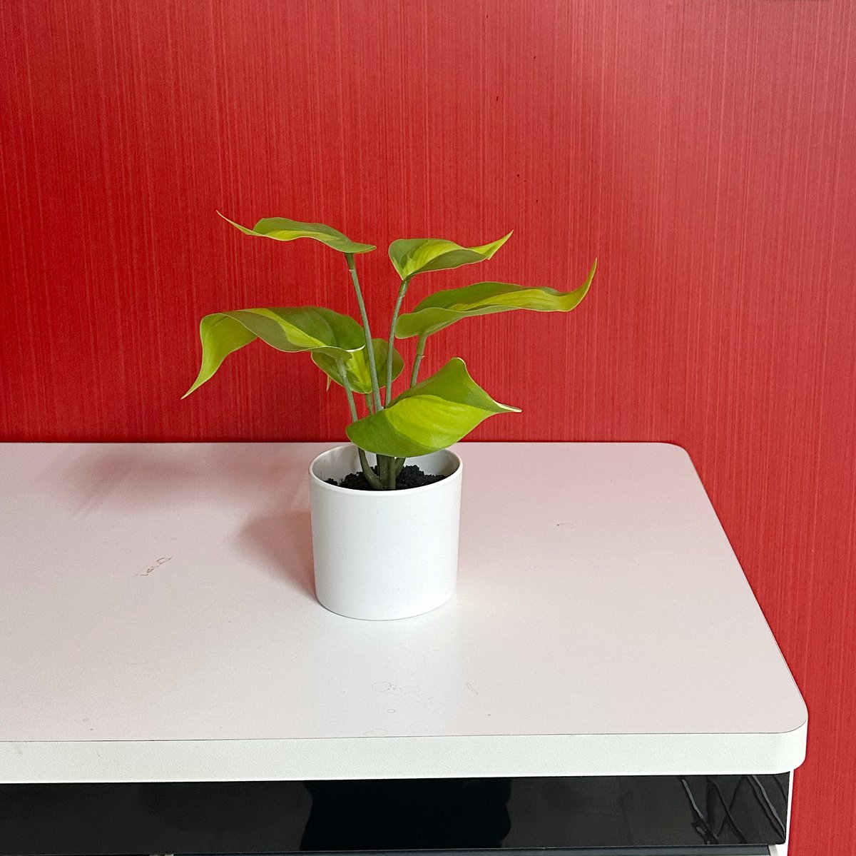 ポトス】フェイクグリーン 人工観葉植物 インテリア ディスプレイ | UP