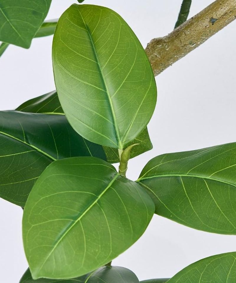 アルテシマエレガントスパイラル】フェイクグリーン 人工観葉植物 アルテシマエレガントスパイラル】フェイクグリーン 人工観葉植物