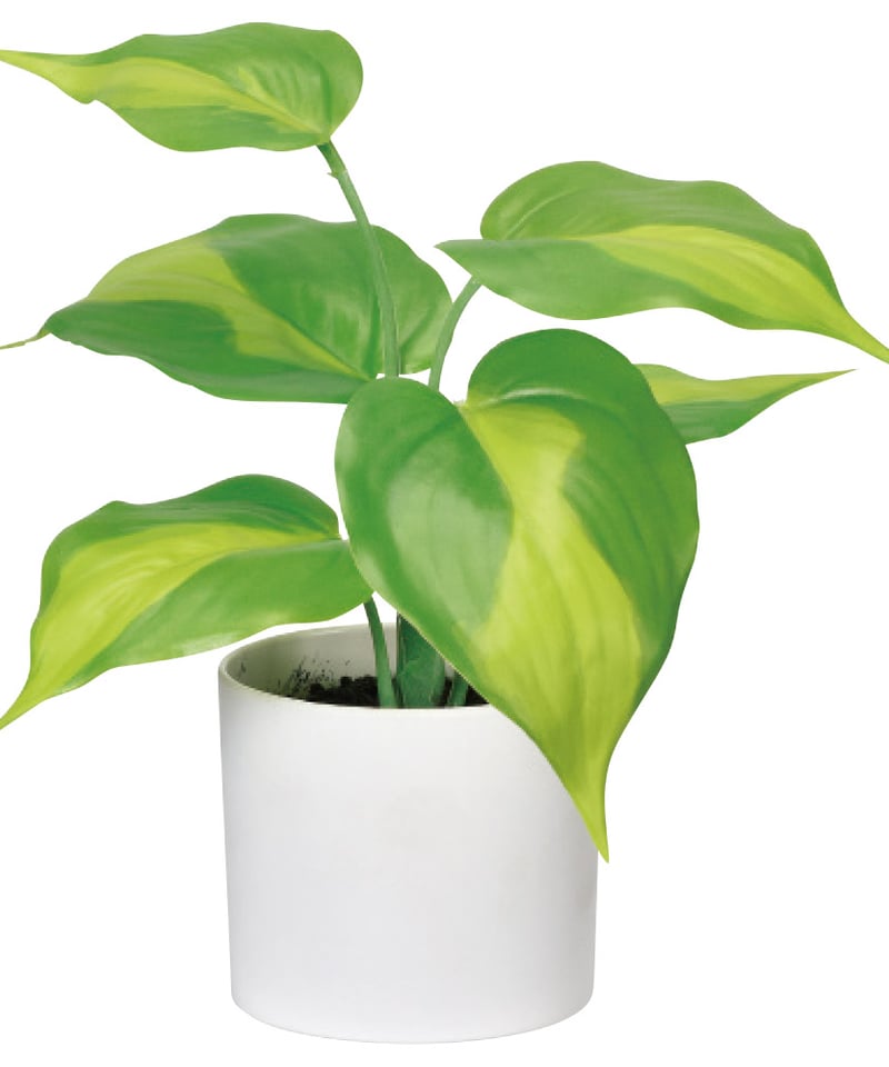 ポトス】フェイクグリーン 人工観葉植物 インテリア ディスプレイ | UP