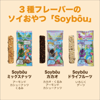 【ネコポス対応】【有機JAS認証】Soybôu（ソイボー）[9本セット] 国産有機大豆100% プロテインバー｜無添加・高たんぱく・ギルトフリー｜豆腐の進化系おやつ｜Bihadaiz