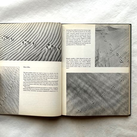 Tracks / E. A. R. Ennion & N. Tinbergen