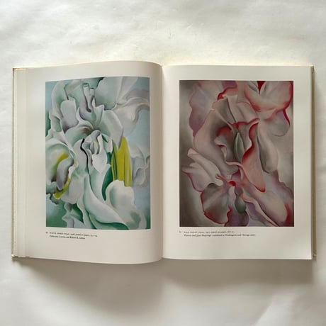 Georgia O'Keeffe  Art and Letters / Jack Cowart, Juan Hamilton