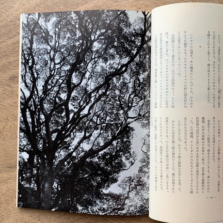 アルプ 98号 / 特集　森