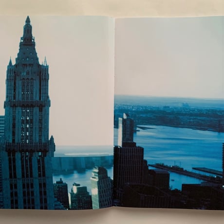 The Narcissistic City