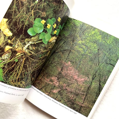 Nature’s Chaos / ジェームズ・グレイック (テキスト)、エリオット・ポーター (写真)