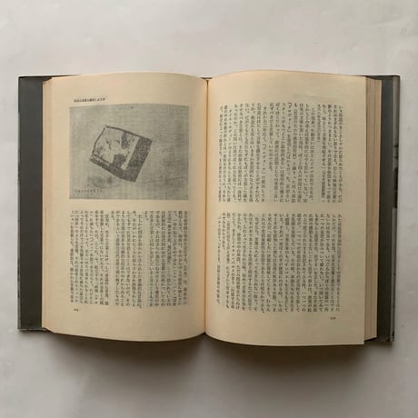なぜ、植物図鑑か―中平卓馬映像論集
