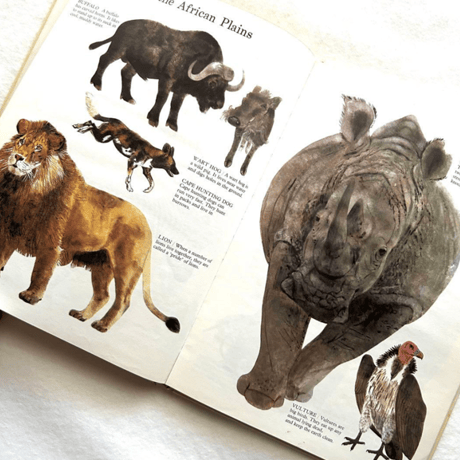 どこにでもいる動物たち / ディアドラ・ディロン、ヴェラ・クロクスフォード