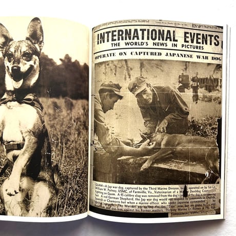 ALL-AMERICAN IV  OTHERWORLDLY / Bruce Weber