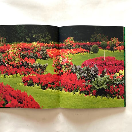 Our Nature   / Janine Schrijver
