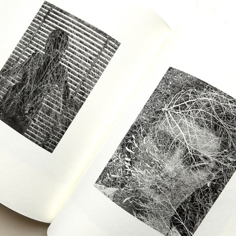Eleanor / Harry Callahan