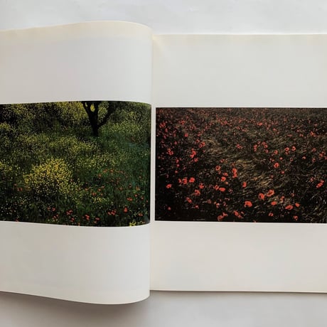 camera No 1 / 55th year / C.J.BUCHER.LTD