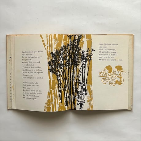 Guess what grasses do / Barbara Rinkoff