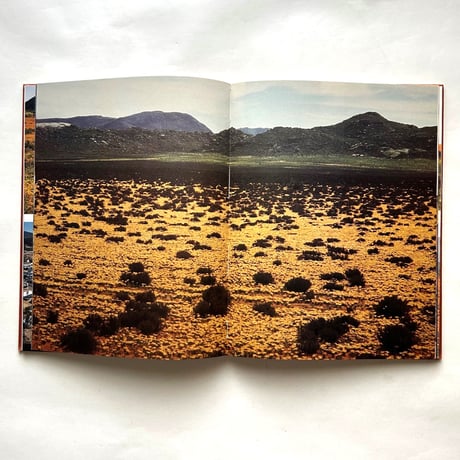 Namaqualand, thirstland in bloom / Chris Jansen