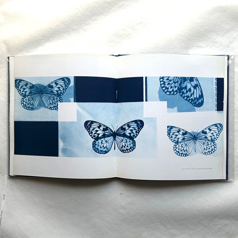 Blue Prints / Zeva Oelbaum | 本まるさんかくしかく