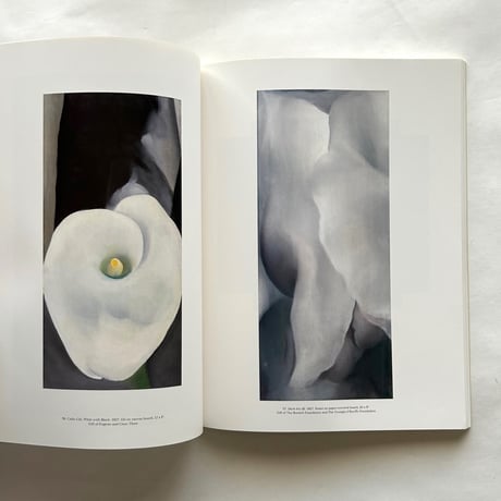 Georgia O'Keeffe Museum