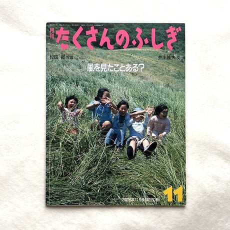 風を見たことある？ / たくさんのふしぎ260