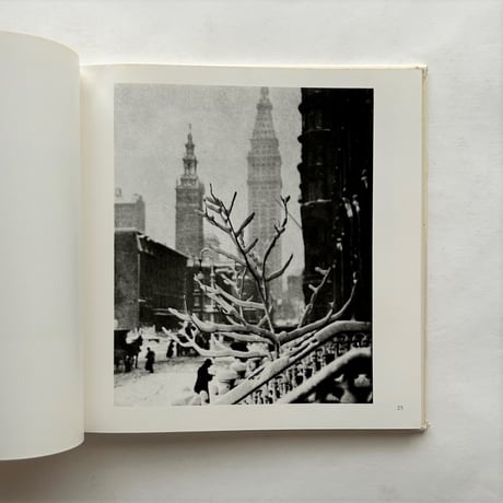 Alfred Stieglitz (Aperture Masters of Photography 6 )